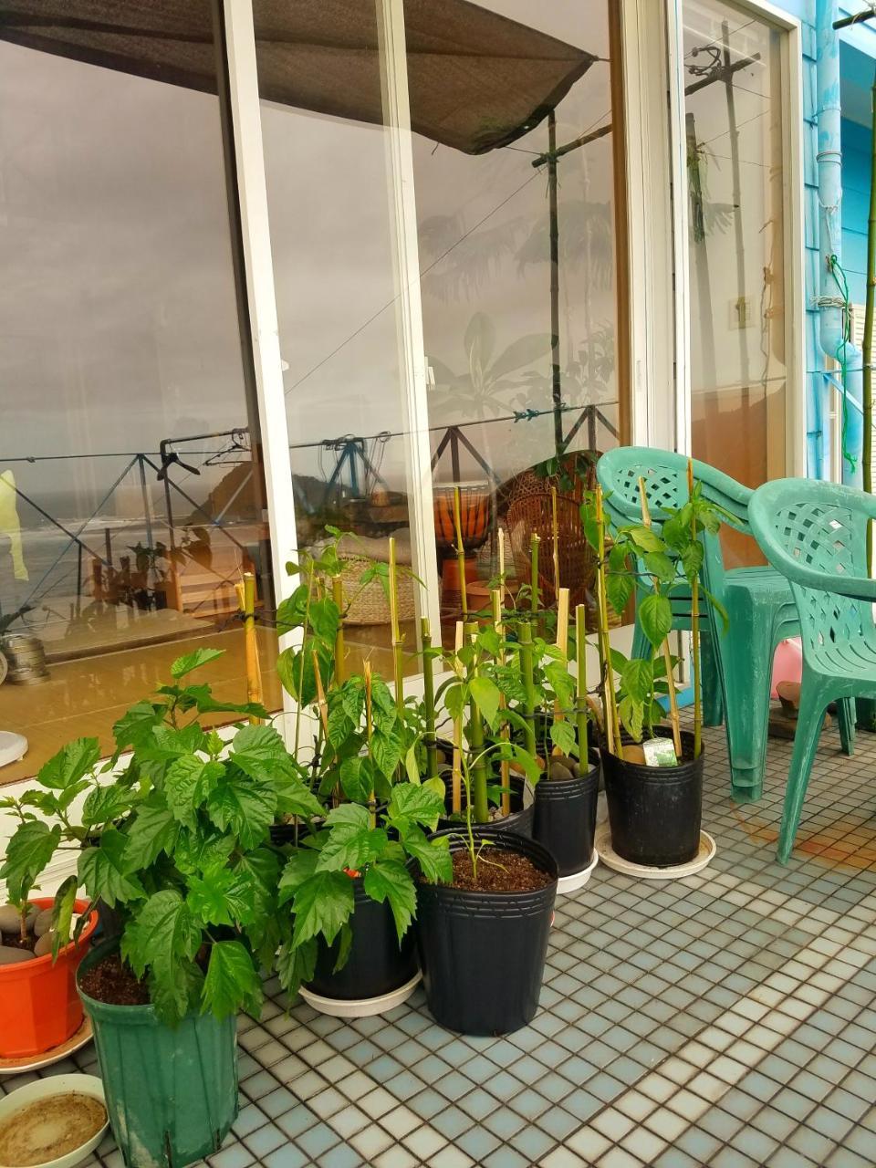 Ocean Home Guest House Miyazaki Exterior photo